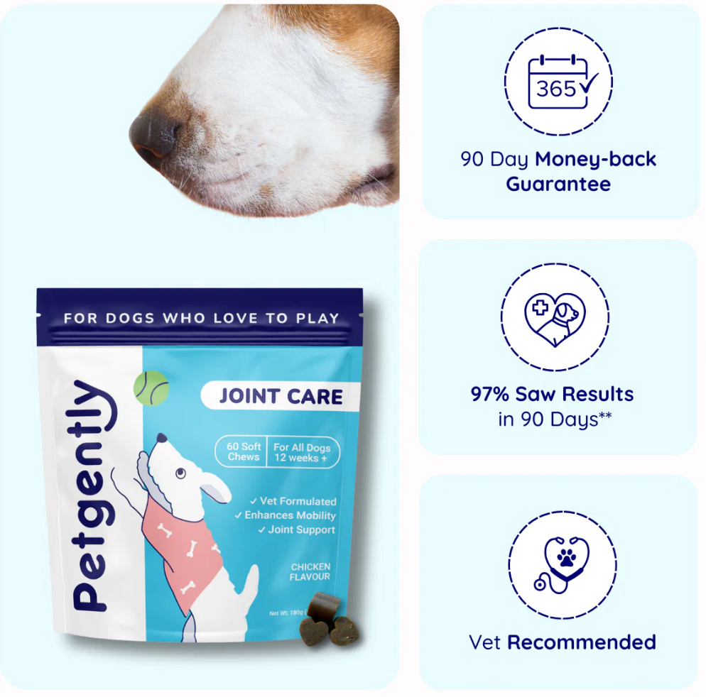 Pet Cary Joint Care Chews