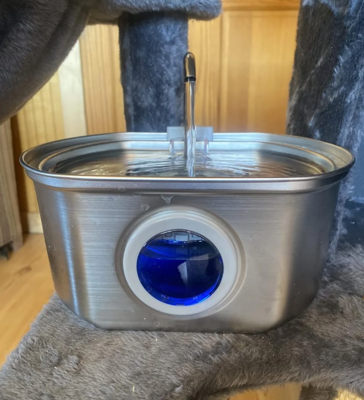 Chat utilisant la fontaine PetCary